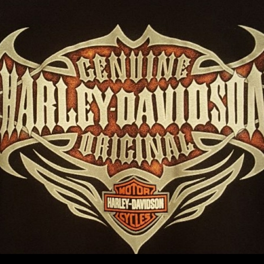 Harley Davidson Mens T-Shirt